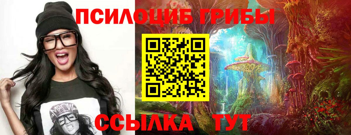 Глазов  даркнет сайт  Вход с VPN  Псилоцибиновые грибы ЛСД  Галлюциногенные грибы мухоморы 