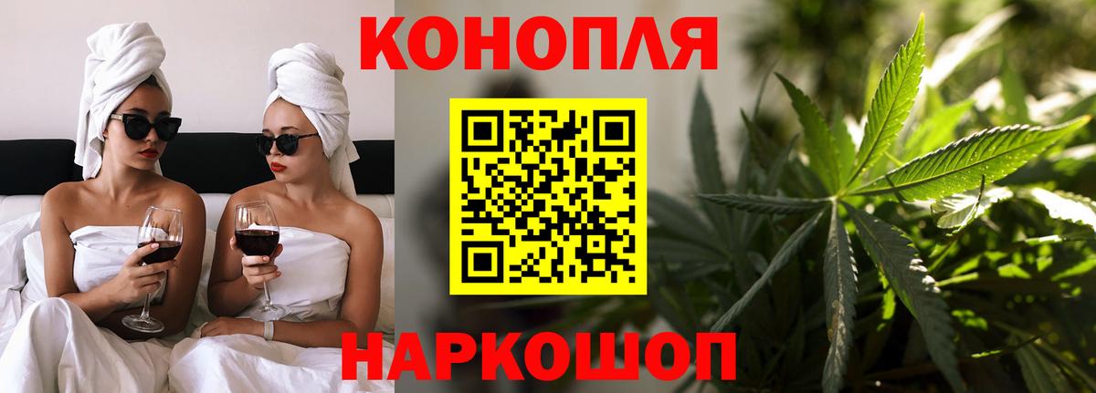 Бошки Шишки план Глазов